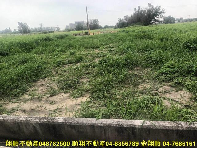 彰化芳苑農地-4
