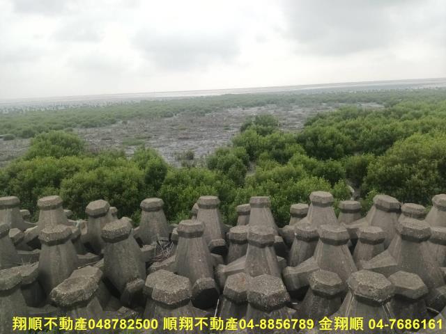 彰化芳苑農地-9