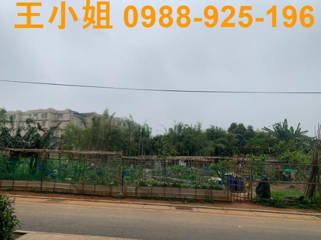桃園桃園區農地-1
