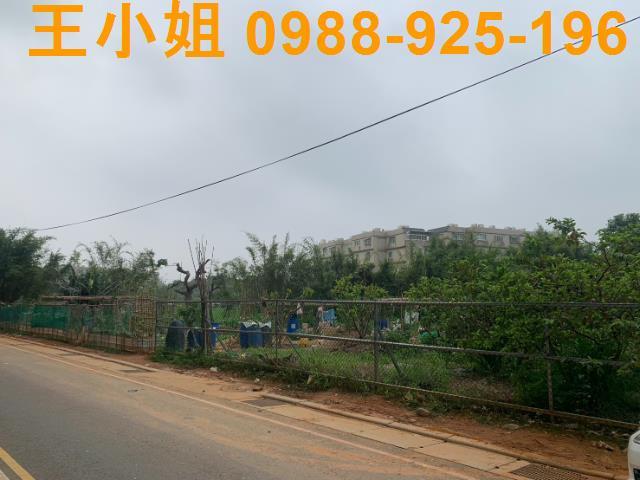 桃園桃園區農地-3