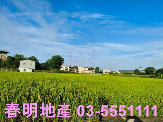 橫山農地-6
