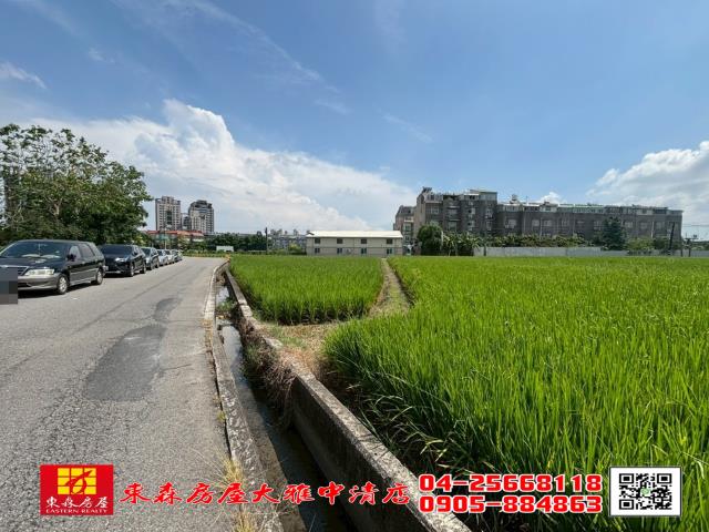 大雅農地-1