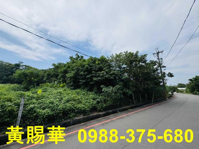 桃園農地-6