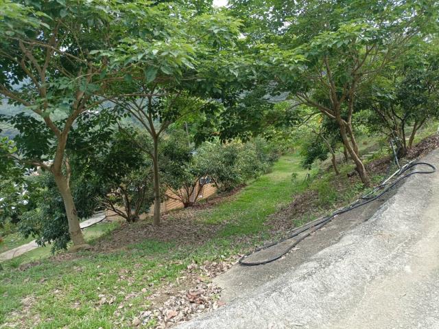 台中農地-5