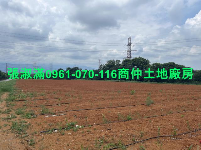 新竹關西農地-1