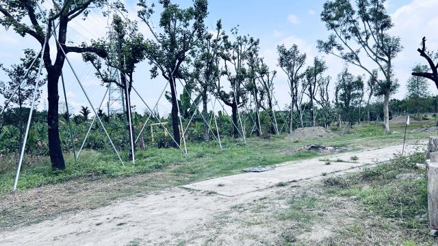 屏東潮州農地-2