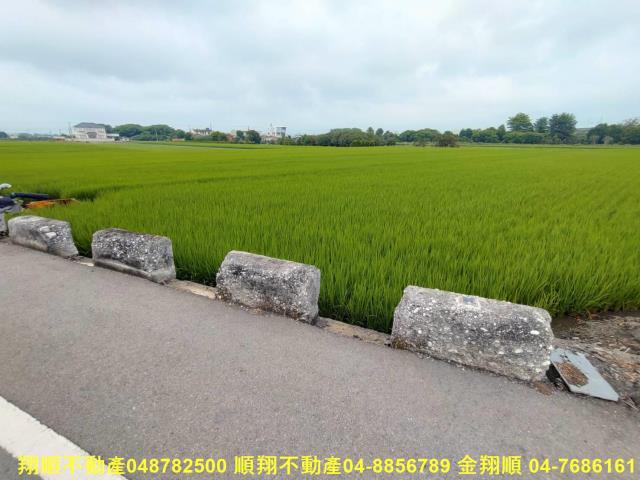 彰化溪州農地-6