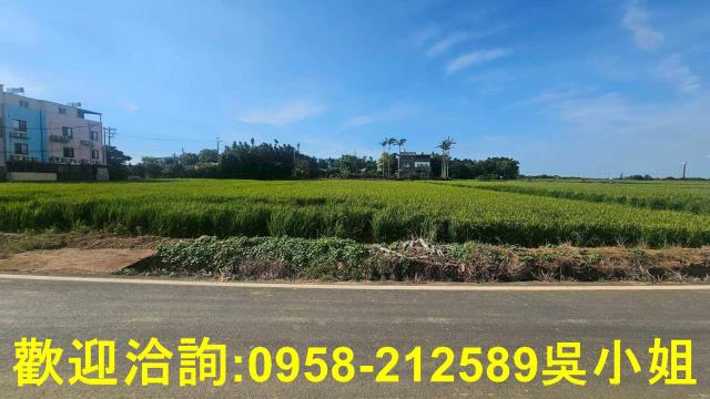 新竹新豐農地-2