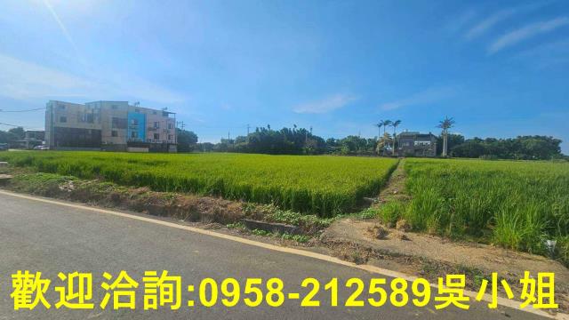 新竹新豐農地-4