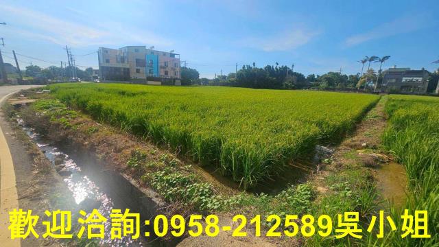 新竹新豐農地-5