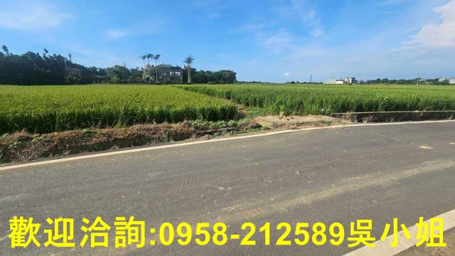 新竹新豐農地-7