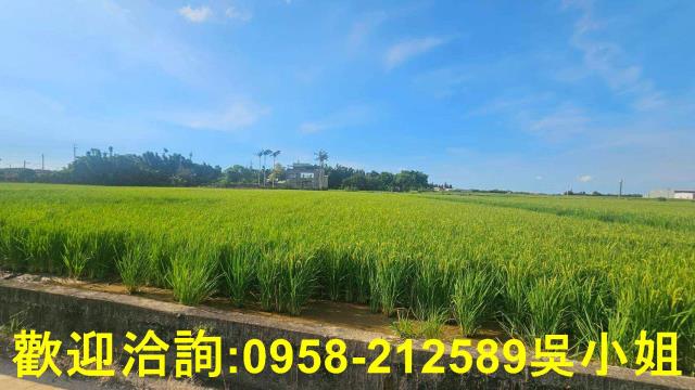 新竹新豐農地-8
