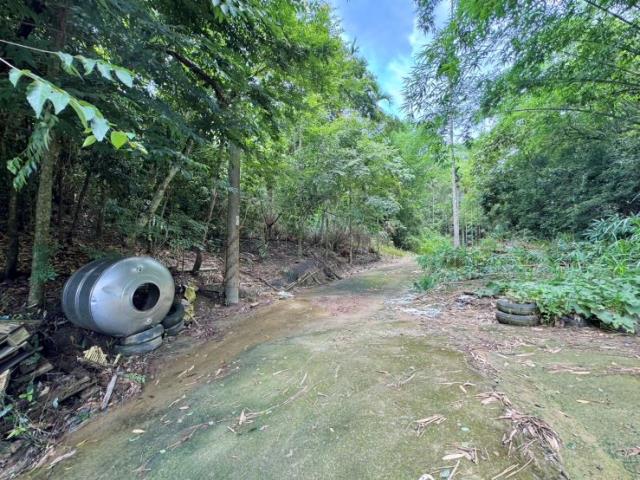 南投中寮山坡地-1