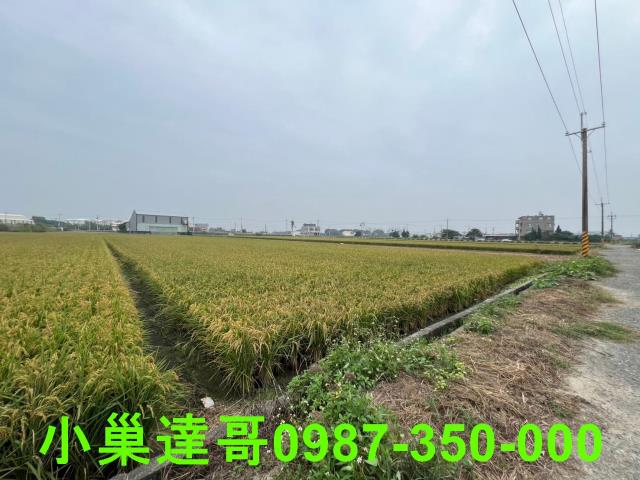 民雄農地-11