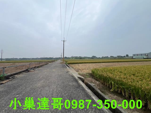 民雄農地-14