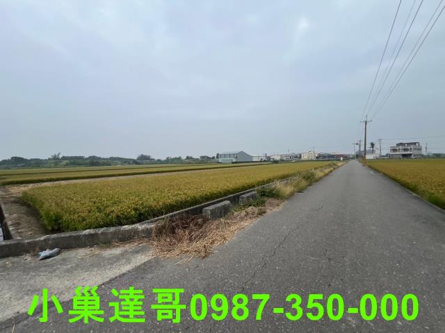 民雄農地-15