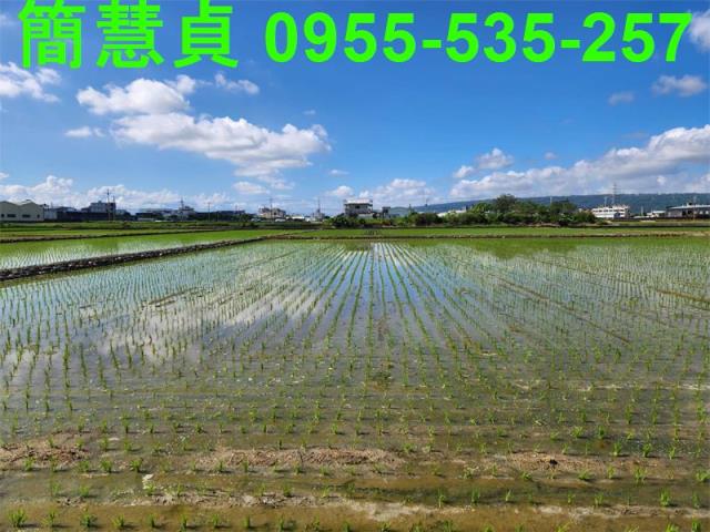 南投農地-2