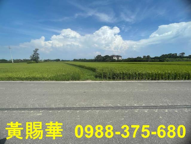 桃園農地-5