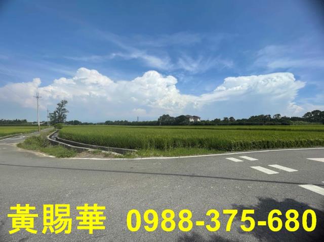 桃園農地-6
