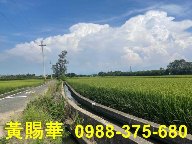 桃園農地-8