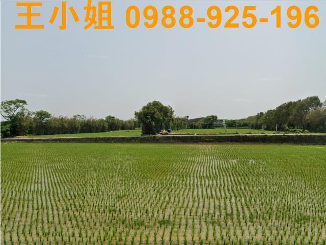 桃園新屋農地-4