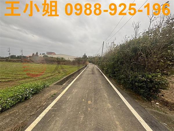 桃園新屋農地-2