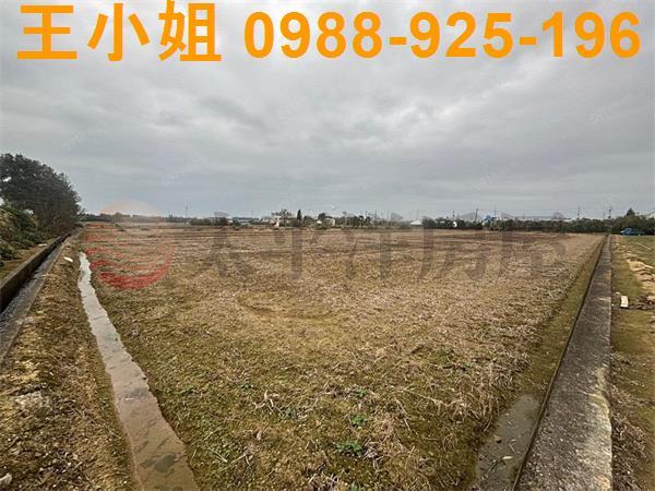 桃園新屋農地-3