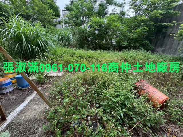 桃園八德工業地-5