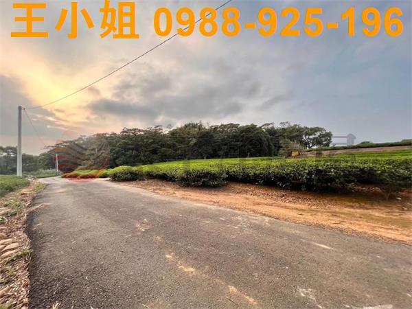 桃園龍潭農地-3