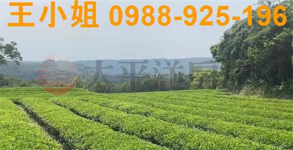 桃園龍潭農地-6