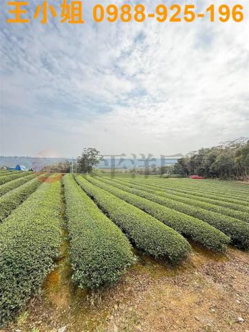 桃園龍潭農地-7