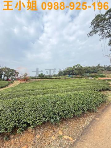 桃園龍潭農地-8