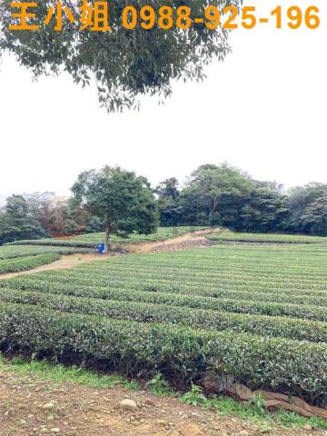 桃園龍潭農地-9