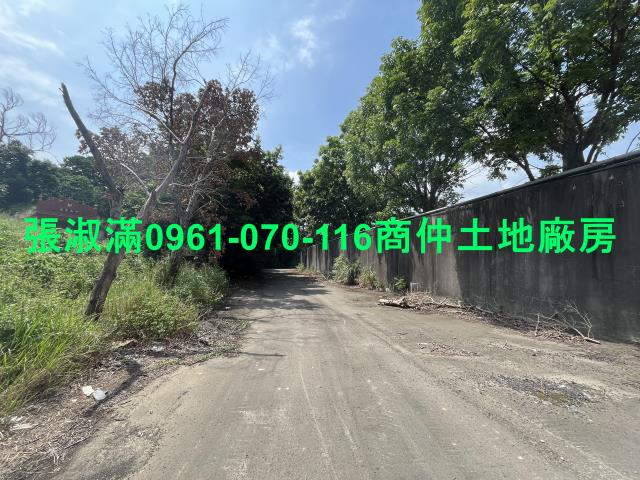 桃園大園工業地-1