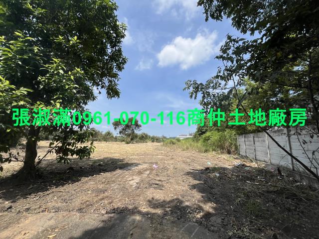 桃園大園工業地-2