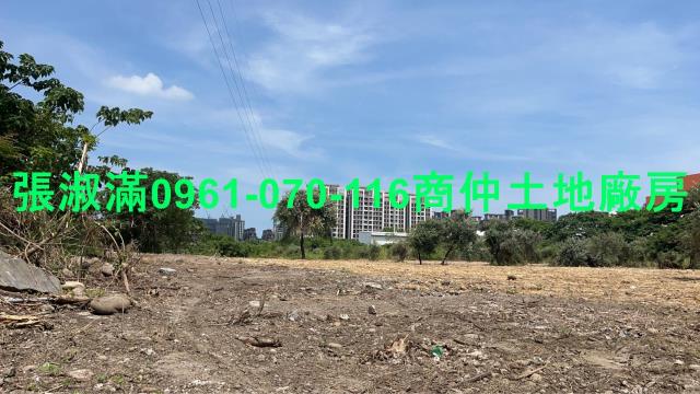 桃園大園工業地-6