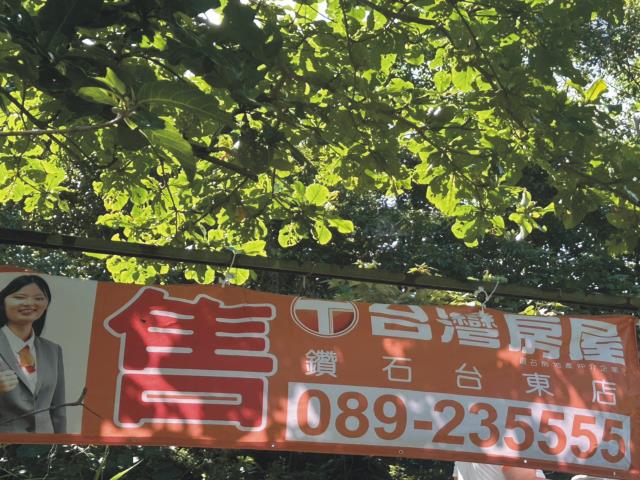 台東成功農地-2