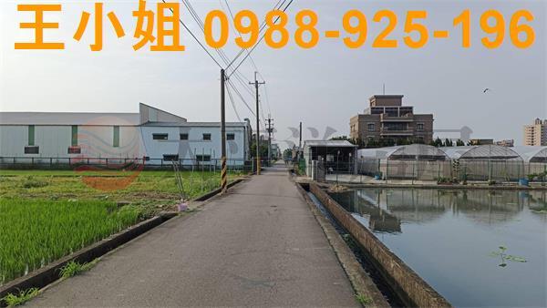 蘆竹農地-9