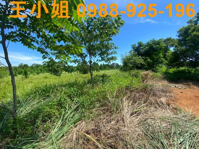 龍潭農地-4
