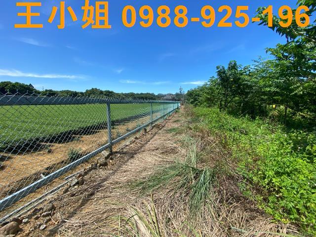龍潭農地-5