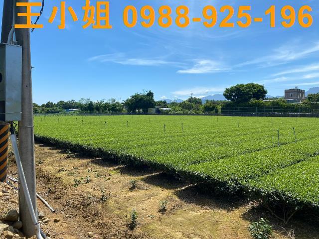 龍潭農地-7