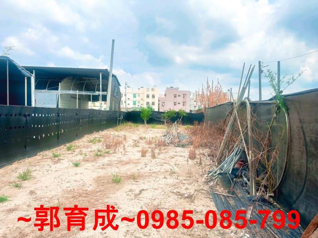 西區農地-9