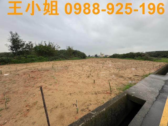 大園農地-3