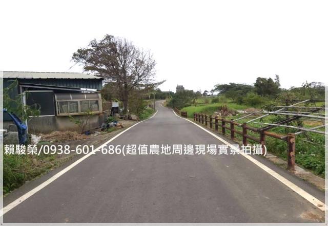 中壢月桃路投資農地