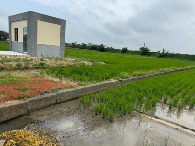 桃園農地-6