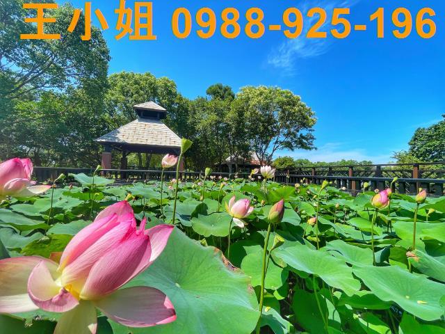 桃園八德農地-5