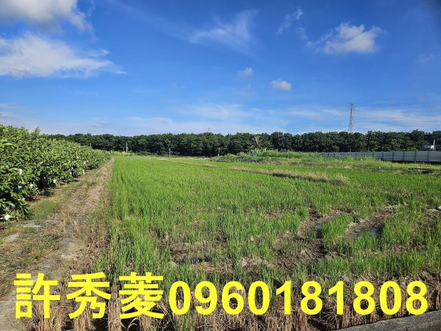 高雄岡山農地-10