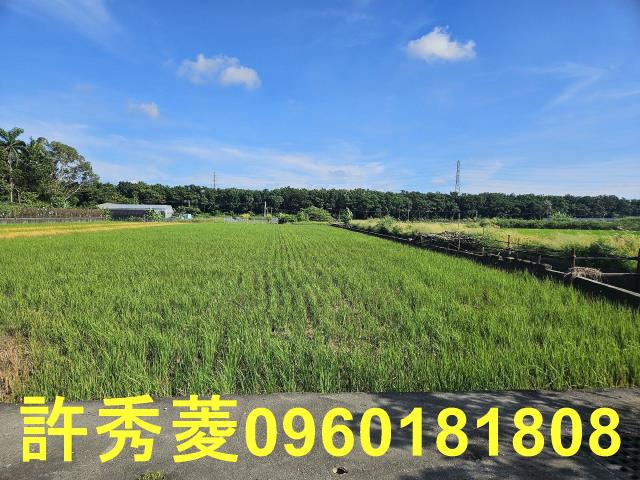 高雄岡山農地-12