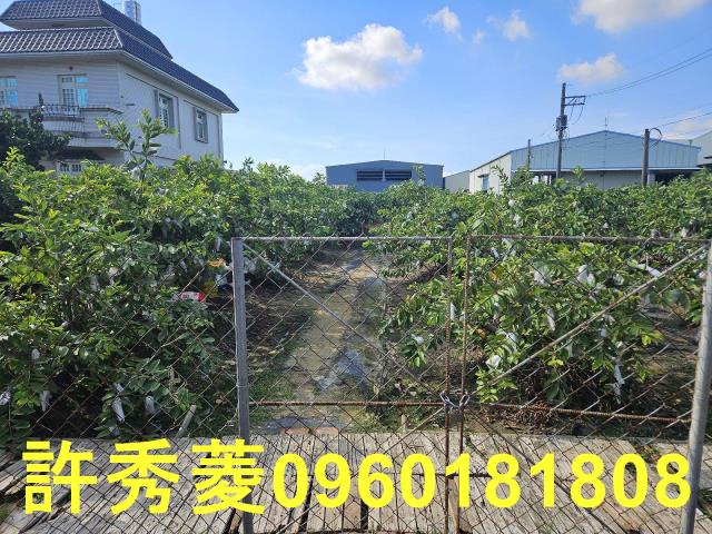 高雄岡山農地-3