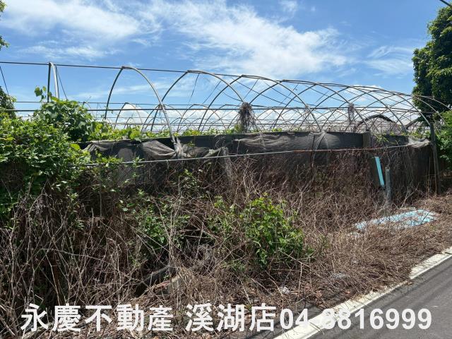 彰化溪湖農地-6